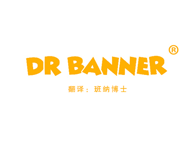 DR BANNER“班纳博士”